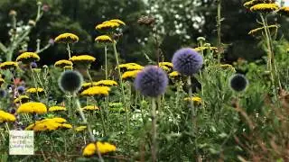 Normanby Hall Country Park - Canon 5D mk3