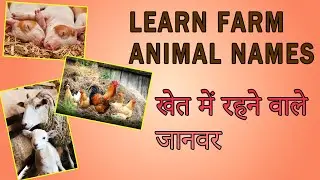 Learn Farm Animals with Pictures | Animal Vocabulary | Easy English Learning