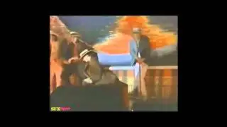 Una volpe - Scugnizzi