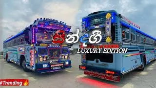 සින්දගී හිට් video එක පෙළට 🤍 | sindagee luxury Edition #trending #bus 