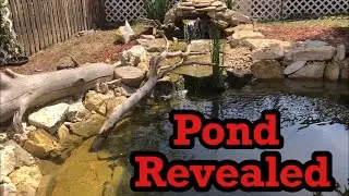 Fly River turtle pond conclusion
