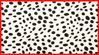 Cotton Tale Designs Fitted Crib Sheet, Hottsie Dottsie, White (HDST)