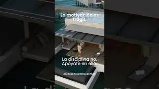Se disciplinado y constante !!!#motivation #finance