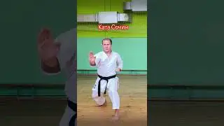Ката Сочин #шотокан #каратэ #ката #karate #sochin #shotokan #kata