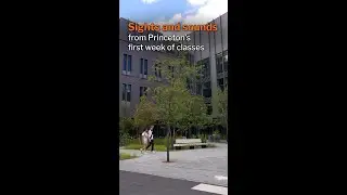 Sights and sounds from Princeton University #collegelife