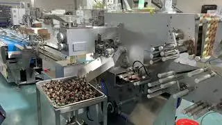 Double twist wrapping machine 