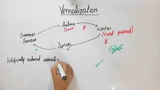Vernalization and it's effects on flowering