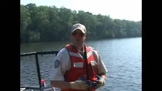 2015 ELECTRO SHOCKING FLAT HEAD CATFISH