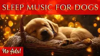 Puppy&nbsp;Sleep&nbsp;Music&nbsp;Black&nbsp;Screen&nbsp;💤 🐾 Peaceful Sleep for Your Pup