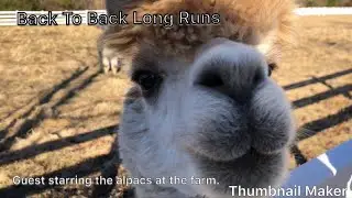 Boston Marathon Training. Back To Back Long Runs