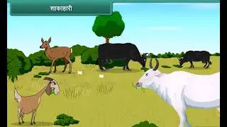 Sources of food, Plants, Animals, Primary Kids Videos/ EVS Class 4th in Hindi