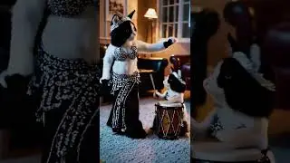 🥁🐱 Cat Rhythm Party: Belly Dancer Meets Drummer Kitty!🎶✨#DancingCats #CatDrummer #CatDanceParty