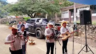 La malagueña- trio nueva imagen