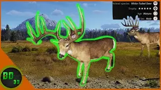 I Can't Believe This Really HAPPENED!  Way Of The Hunter