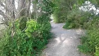 A June 21, 2021 walk down the Port Hope Waterfront Trail