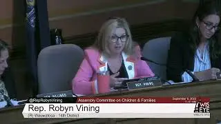 Rep. Robyn Vining Questions Bill Authors of AB 388: Childcare Center Revolving Loan Program
