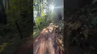 Beautiful day out on Santa Cruz trails. Mud, roots, butterflies and ocean views #teambuilding #ca