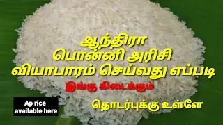 Rice business geeveeare channel Aundra ponni rice 🍚🌾 ஆந்திர பொன்னி அரிசி Ap rice rajabogam rice 🌾🍚