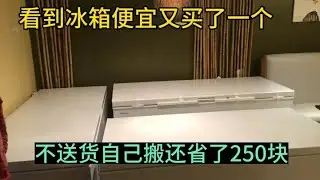 冰箱特价499元见便宜又买了一个，不送货自己搬还省了250块