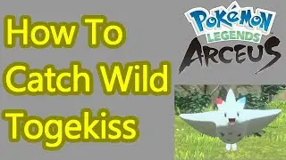 Pokemon Legends: Arceus Togekiss location guide, how to catch it