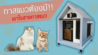 บ้านแมว เอาใจสายทาส!! - บ้านหมา แมว T.C. DOG HOUSE by Tohchin