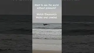 Want to see the world without pressure? #eleonoraswalks