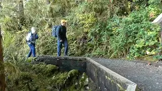 2019-10-14 Quinault Rain Forest Trail System on the Olympic Peninsula