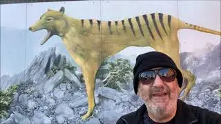 The Murals of a town called Sheffield in Tasmania, Australia