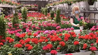 C'est le printemps, partez à la rencontre des fleurs au Point Vert !