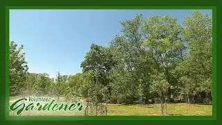 Challenges of A Large Landscape Design | Volunteer Gardener