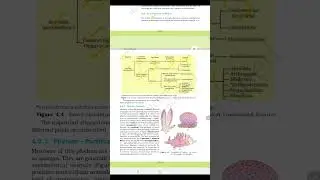 CLASS 11 ZOOLOGY |ANIMAL KINGDOM |ANIMAL KINGDOM EXPLAINED IN MALAYALAM |