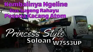 Line Perdana Sugeng Rahayu W7129UP Pesona Kacang  Atom Setelah Sekian Lama Perpal