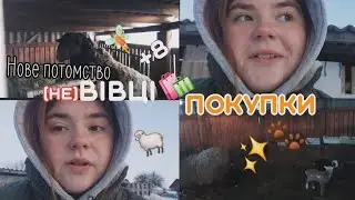ЗНОВУ ОВЕЧКИ ТА ЗАГАЛЬНІ ПОКУПКИ🐄