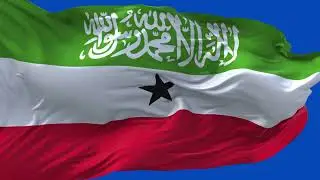 🚩Somaliland Flag Waving Laying Flat | GREEN SCREEN & CHROMA MATTE🚩