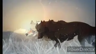 Anime Wolves-Brother