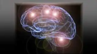 Muscle Memory Explained