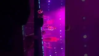 Bruno Mars Japan Tour 2022_1023_12