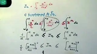 Intégrale d'une fonction numérique, suite et encadrement MATHS TS