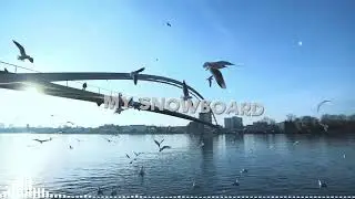 Keep the Hell off of my Surfboard- Lyric Video