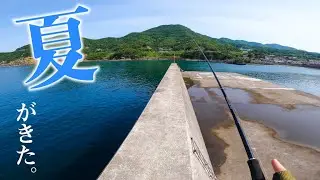 【釣り車中泊旅】青物！烏賊！根魚！全力で海を楽しむ軽バン一人旅【1泊2日県内旅 #1】