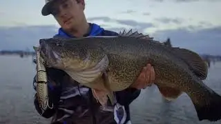 IN THE SCOPE : MURRAY COD