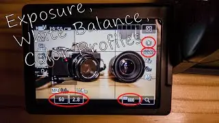 How to Set Exposure, White Balance, and Color, for Video