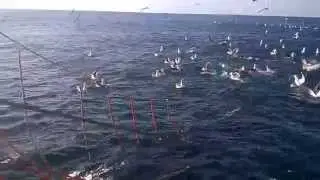 Seabird mitigation device  - The Bird Baffler