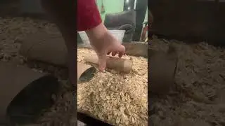 How to make a easy meal worm farm