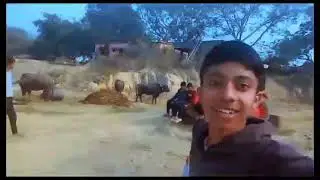 Hamari cricket pitch per kise ne hag diya||#vlogs #viralvlogs akash__vlogs_35