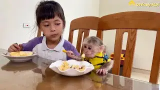 Monkey Abi loves to play with her sister