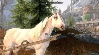 Dovah Rider Cart - Traveling Player Micro-Home