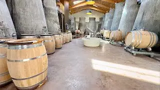Château Beauregard Wine Tour Review @ Pomerol Saint-Émilion Bordeaux France 🇫🇷