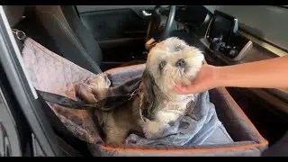 HONEST Review & Unboxing Car Seat For Dogs Dianyere! ✅  #amazon #amazonfinds