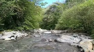 Forest Waterfall & Natural Pool &ndash; Relaxing Sounds for Sleep, Study & Meditation